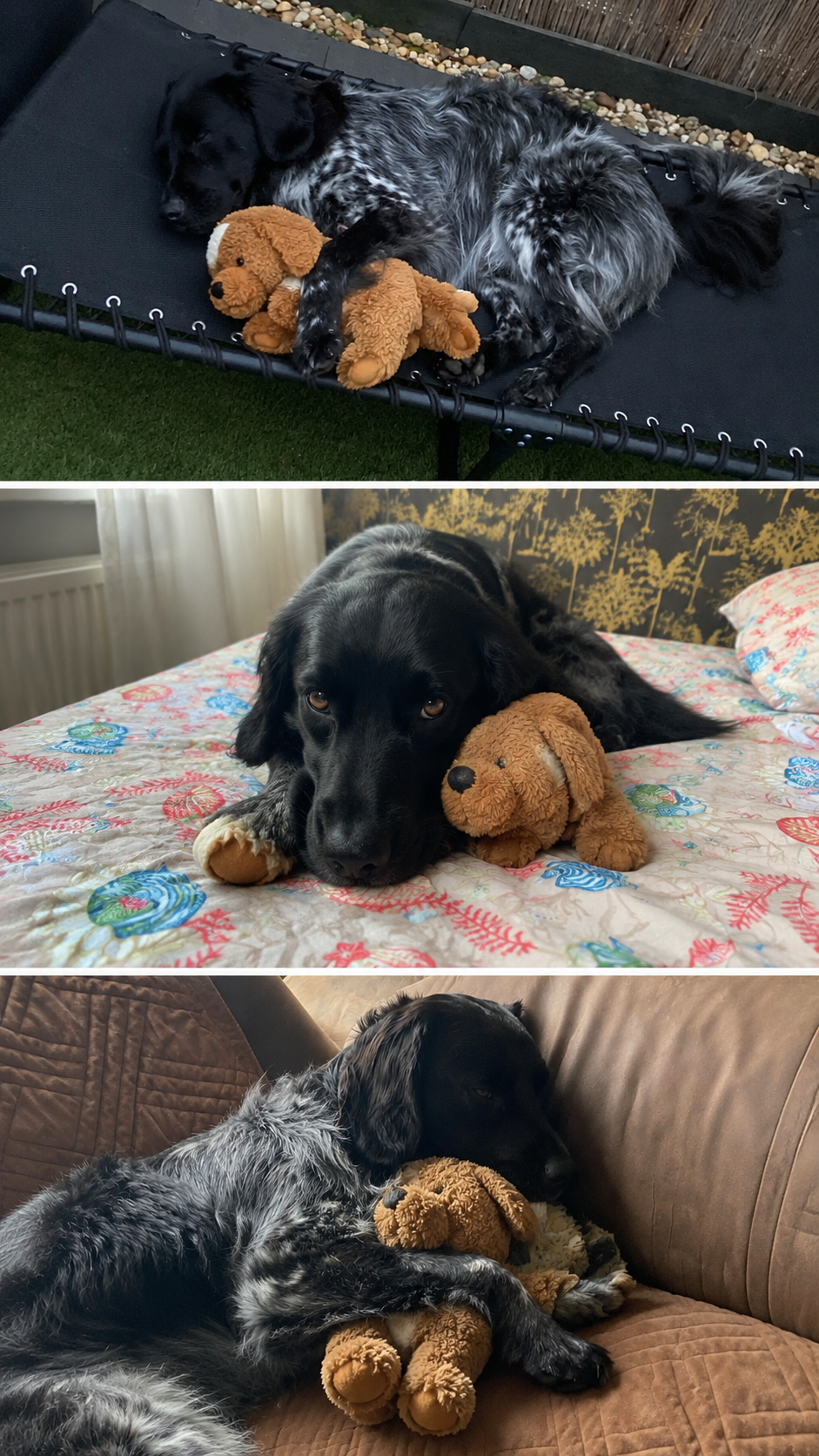 Heartbeat Comfort Pet Toy