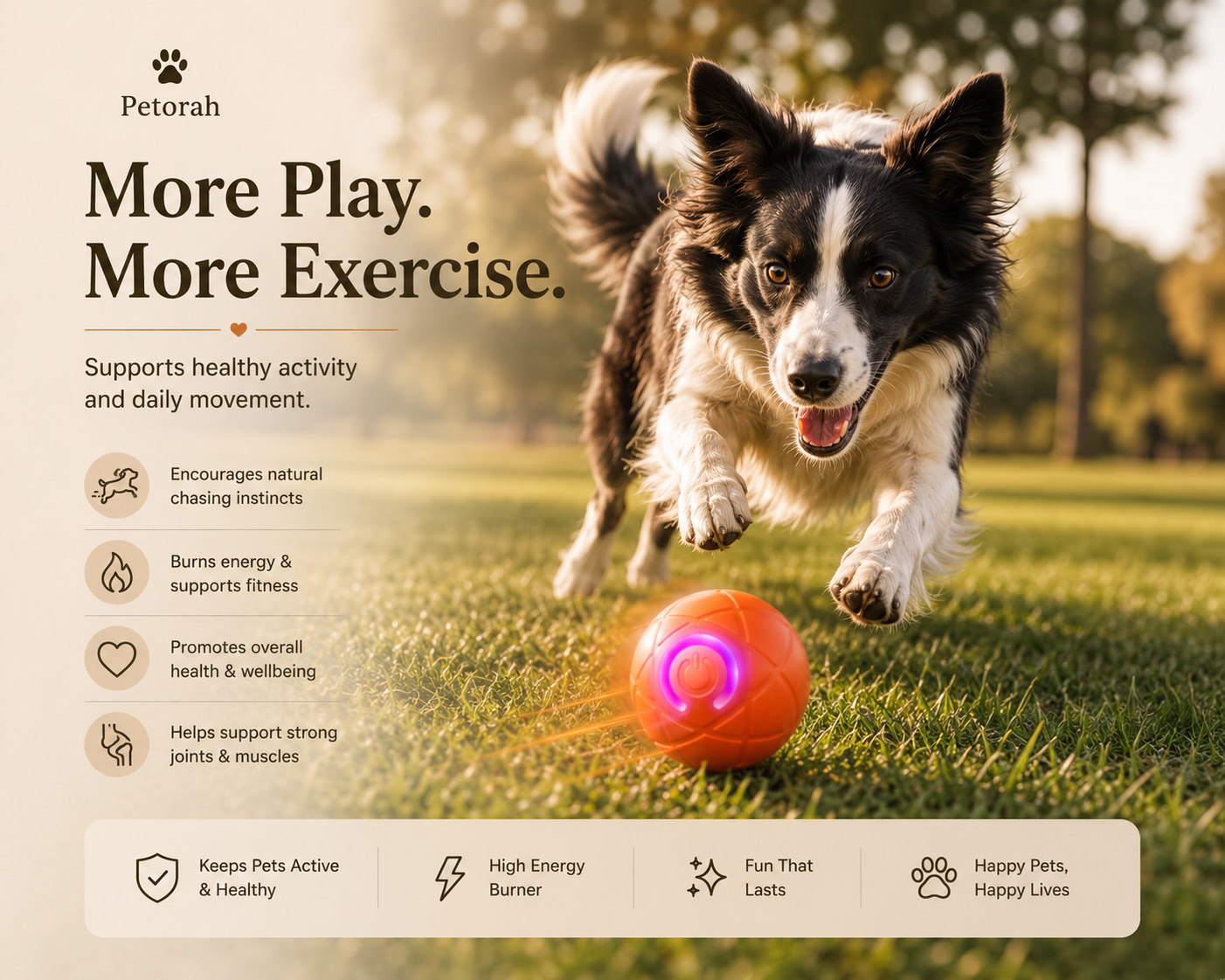 Smart Bounce Interactive Pet Ball