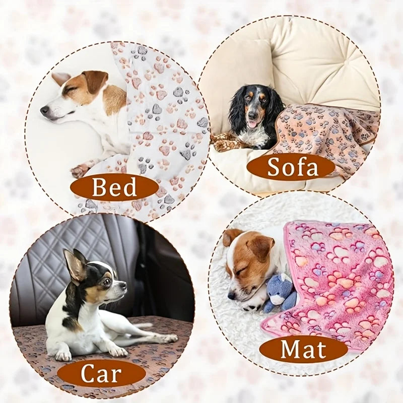 Cozy Comfort Pet Blanket