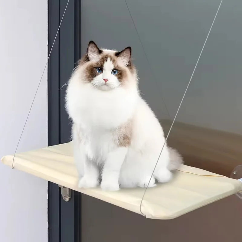Window View Cat Hammock