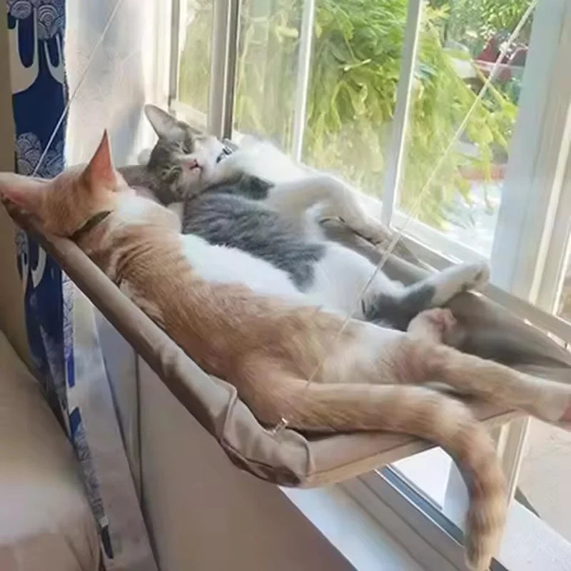Window View Cat Hammock